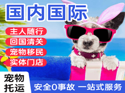 启阳空运代理国际宠物托运 【国